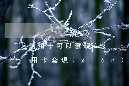 信用卡可以套現(xiàn)違法嗎(使用信用卡套現(xiàn)違法嗎)