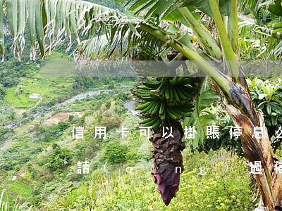 信用卡可以掛賬停息么(有誰(shuí)申請(qǐng)過信用卡掛卡停息)