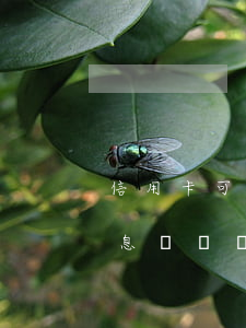 信用卡可以提前申請(qǐng)60期停息掛賬嗎-信用卡可以提前申請(qǐng)60期停息掛賬嗎