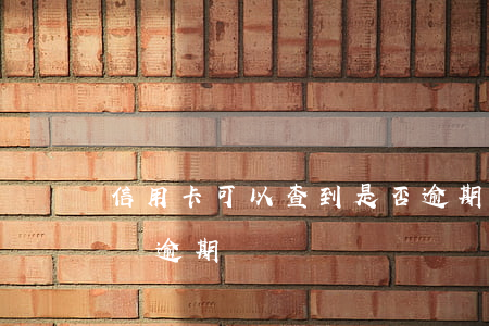 信用卡可以查到是否逾期么(怎么查信用卡有沒逾期)
