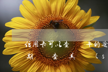 信用卡可以查詢幾年的逾期(怎么查信用卡逾期記錄查詢具體時(shí)間)