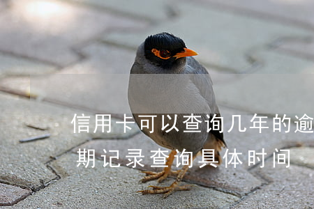 信用卡可以查询几年的逾期(怎么查信用卡逾期记录查询具体时间)