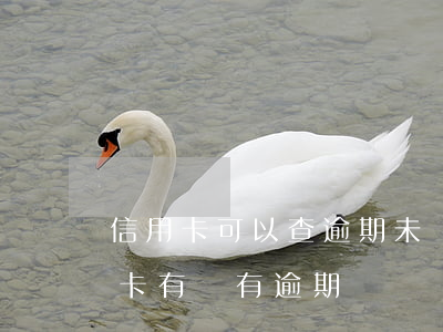 信用卡可以查逾期未還的嗎(怎樣查自己信用卡有沒有逾期)