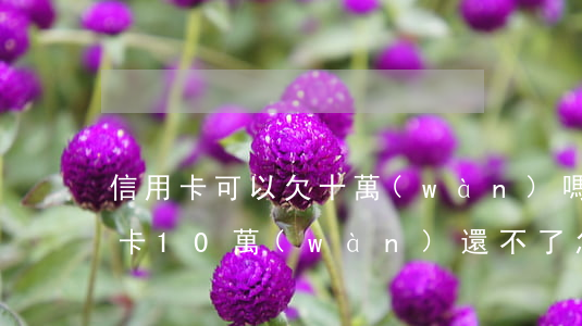 信用卡可以欠十萬(wàn)嗎(一共欠信用卡10萬(wàn)還不了怎么辦?)