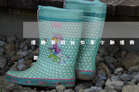 信用卡可以欠多少期(信用卡可以欠多少期還款)