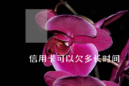 信用卡可以欠多长时间
