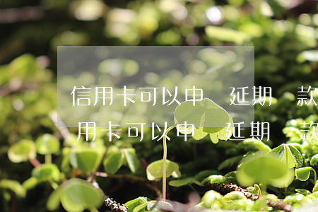 信用卡可以申請延期還款嗎(廣發(fā)信用卡可以申請延期還款嗎)