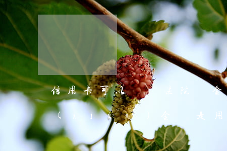 信用卡可以繳納法院罰金嗎(法院交罰款是現(xiàn)金還是用卡)