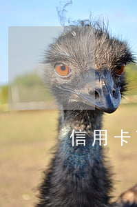 信用卡可以起訴利息過高嗎