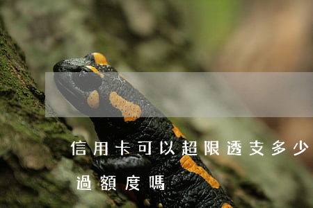 信用卡可以超限透支多少(信用卡可以透支超過額度嗎)