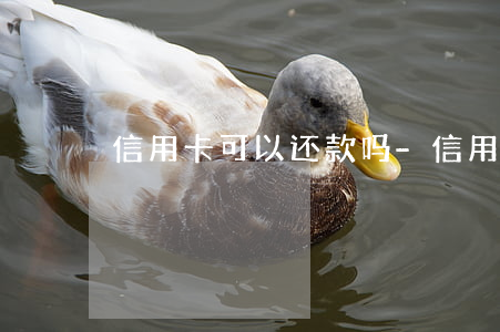信用卡可以还款吗-信用卡可以分期还款吗