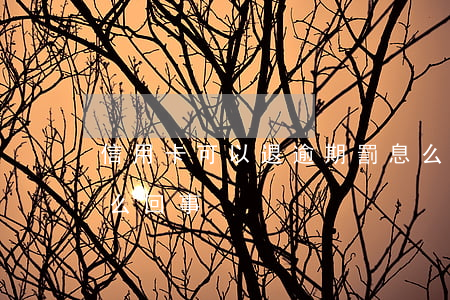 信用卡可以退逾期罰息么(退信用卡罰息是怎么回事)