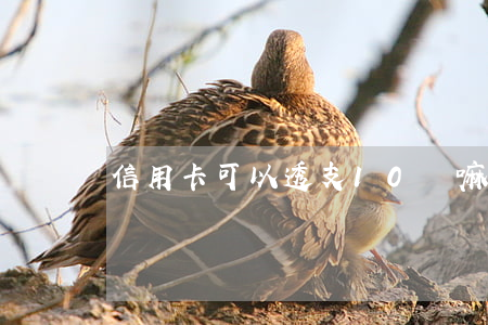 信用卡可以透支10萬嘛(信用卡能借10萬嗎)