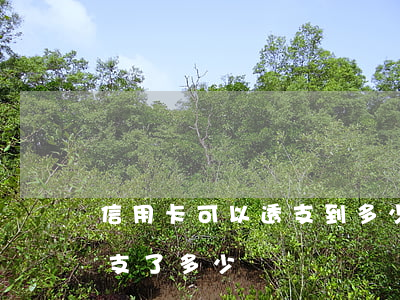 信用卡可以透支到多少(怎么能知道信用卡透支了多少錢)