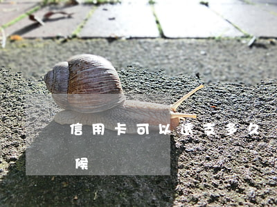 信用卡可以透支多久還款(信用卡透支什么時候還)