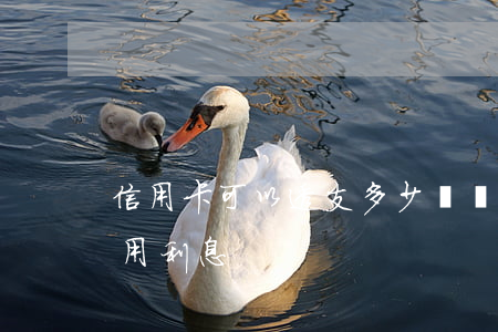 信用卡可以透支多少時間(信用卡透支多久不用利息)