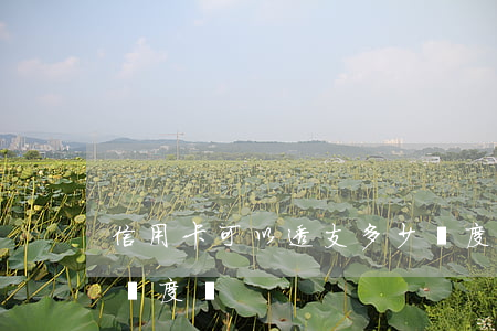 信用卡可以透支多少額度嗎(信用額度是透支額度嗎)