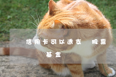 信用卡可以透支買股票嗎(信用卡可以買股票嗎?買基金嗎?)