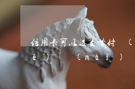 信用卡可以透支首付買(mǎi)車(chē)嗎(買(mǎi)車(chē)可以用信用卡付款嗎)
