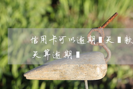 信用卡可以逾期兩天還款嗎(還信用卡晚了兩天算逾期嗎)
