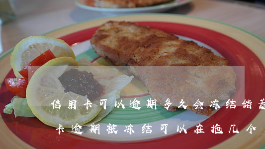 信用卡可以逾期多久会冻结(储蓄卡因为信用卡逾期被冻结,可以在拖几个月还款吗)