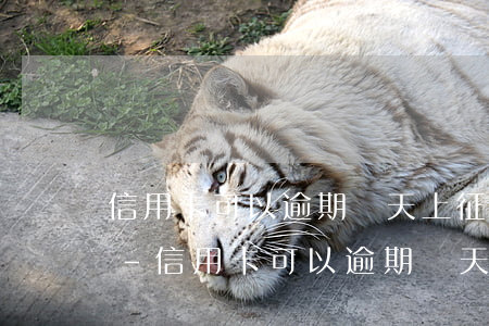 信用卡可以逾期幾天上征信報(bào)告-信用卡可以逾期幾天上征信報(bào)告嗎