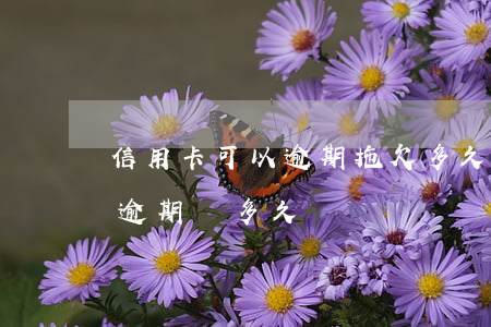 信用卡可以逾期拖欠多久(你們的信用卡最長逾期過多久)