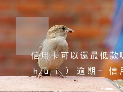 信用卡可以還最低款嗎會(huì)不會(huì)逾期-信用卡可以還最低款嗎會(huì)不會(huì)逾期呢