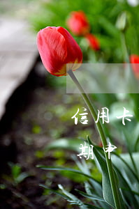 信用卡可申請減免逾期費(fèi)(銀行逾期申請減免逾期費(fèi))