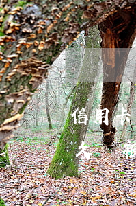 信用卡可能逾期多久會上征信(“信用卡逾期多久會被起訴”)