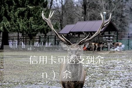 信用卡可透支到余額寶嗎(信用卡轉(zhuǎn)余額寶)