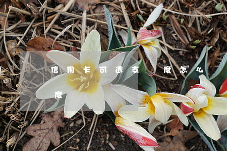 信用卡可透支額度怎么開通(什么是可透支額度)