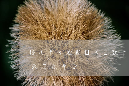 信用卡可逾期幾天還款平安(信用卡可逾期幾天還款平安)