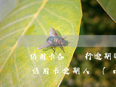 信用卡各個銀行逾期率(現(xiàn)階段信用卡逾期人數(shù))