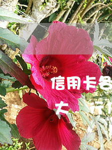 信用卡各大銀行逾期12萬(wàn)(欠各大銀行信用卡共計(jì)10幾萬(wàn))