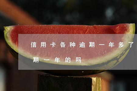 信用卡各种逾期一年多了怎么办(有信用卡逾期一年的吗)