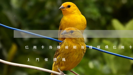 信用卡各種逾期各種催債(信用卡逾期會有人上門催債嗎)