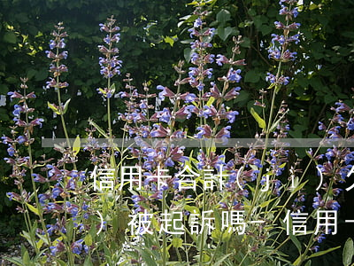 信用卡合計(jì)欠款10萬會(huì)被起訴嗎-信用卡合計(jì)欠款10萬會(huì)被起訴嗎知乎