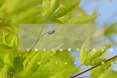 信用卡后期還不上怎么辦(信用卡實(shí)在沒(méi)辦法還了怎么辦)