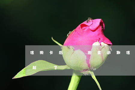 信用卡后臺萬用金逾期(信用卡萬用金逾期被起訴了)