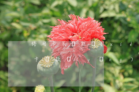 信用卡呆帳能協(xié)商么(呆賬的信用卡,還款應(yīng)該還多少)