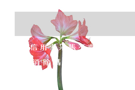 信用卡呆賬不還的后果(信用卡呆賬還完后會消除嗎)