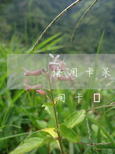 信用卡呆賬可以不還嗎(銀行有呆賬還能辦信用卡嗎)