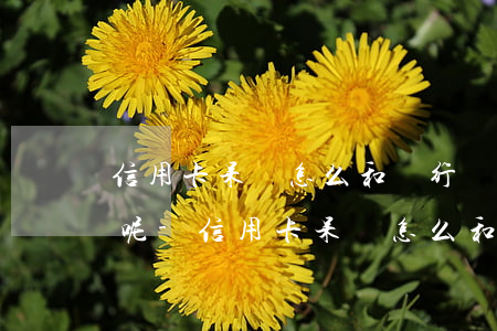 信用卡呆賬怎么和銀行協(xié)商還款呢-信用卡呆賬怎么和銀行協(xié)商還款呢