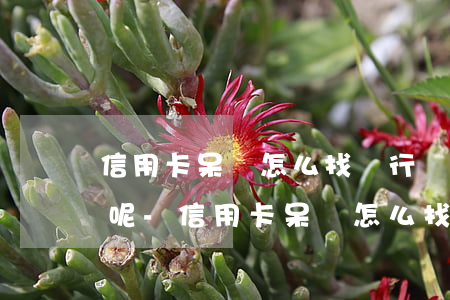 信用卡呆賬怎么找銀行協(xié)商還款呢-信用卡呆賬怎么找銀行協(xié)商還款呢視頻