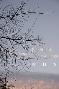 信用卡呆賬欠款核銷改逾期(呆賬還款銷戶后就沒有逾期記錄了)