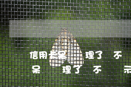 信用卡呆賬處理了會不會顯示逾期-信用卡呆賬處理了會不會顯示逾期記錄