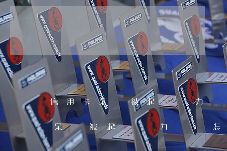 信用卡呆賬被起訴無力償還怎么辦-信用卡呆賬被起訴無力償還怎么辦呢