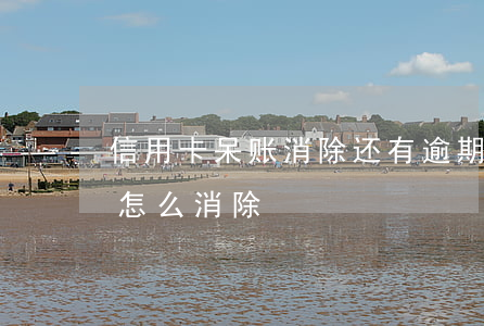 信用卡呆账消除还有逾期记录(信用记录呆账怎么消除)