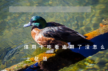 信用卡咋看逾期了沒(怎么看信用卡逾期上沒上征信)
